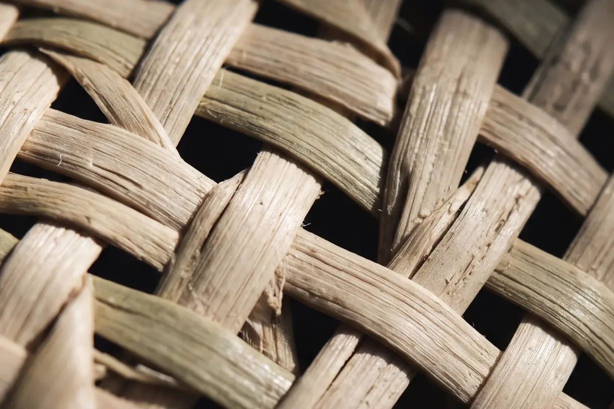 Close detail of hand-woven rattan cane, the material EarthNWe builds with.